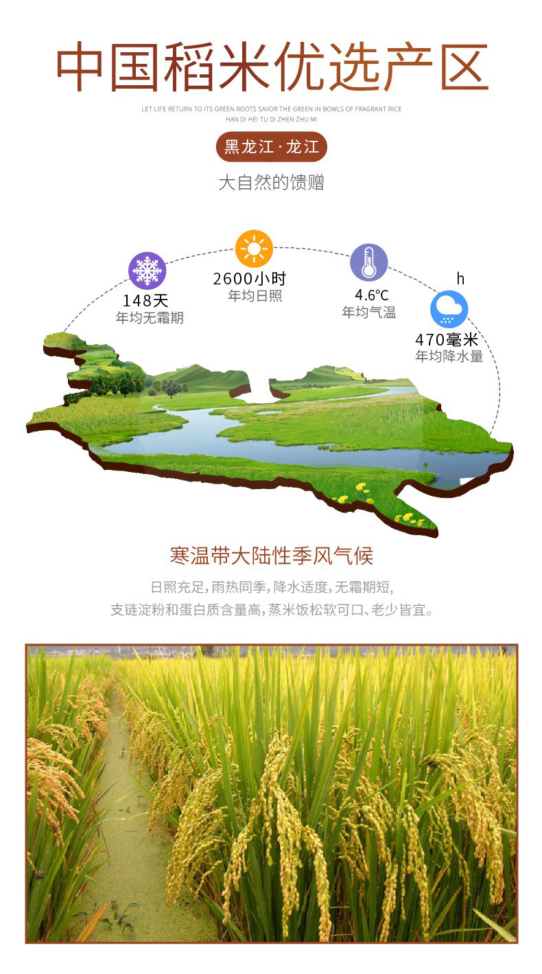 详情_r3_c1_s1 (2).jpg
