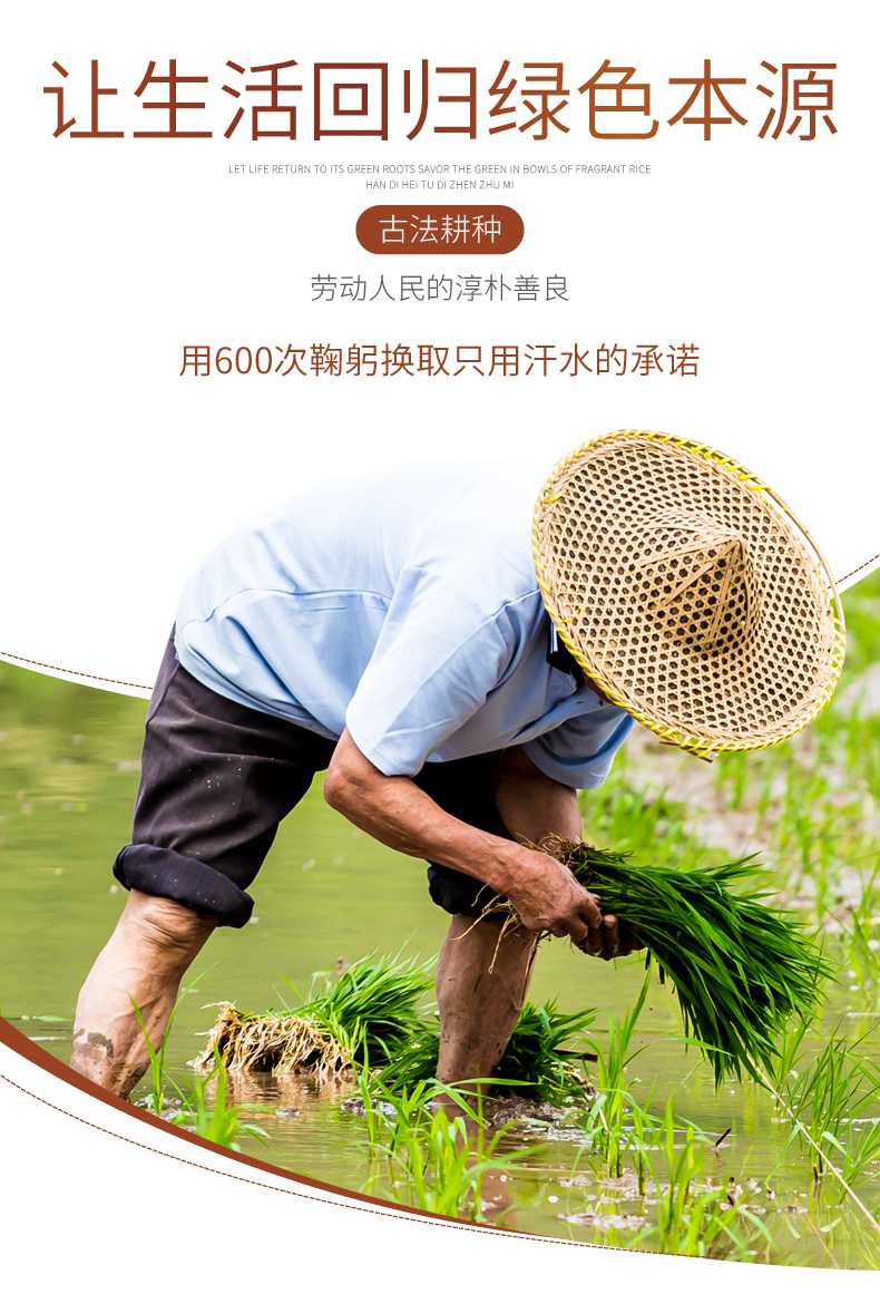 详情_r4_c1_s1.jpg