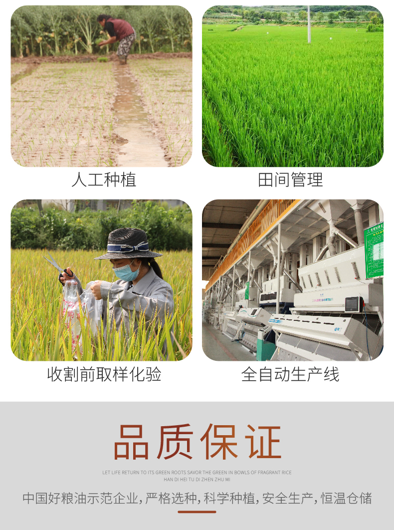 详情_r11_c1_s1.jpg