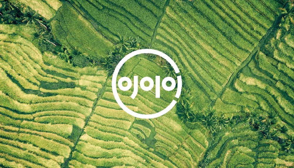 四川绵阳：以创城促进食品产业高质量发展——2023中国（西部）健康食品博览会食品安全护航健康生活论坛召开